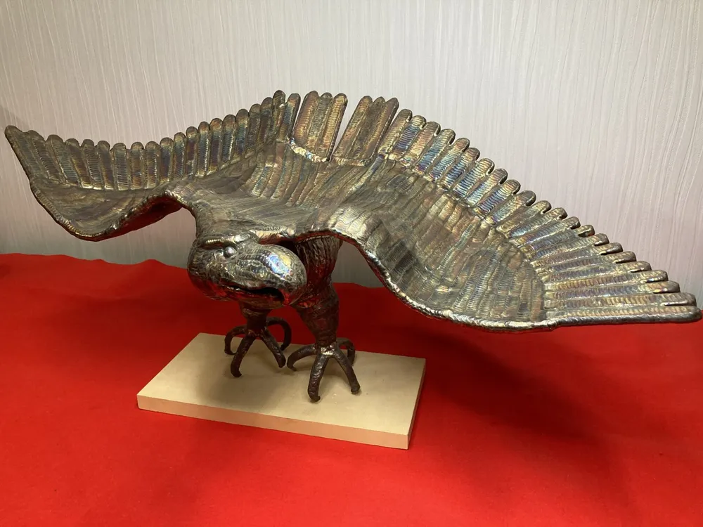 「圧倒的存在感で”獲物を狙う鷲”」 写真1