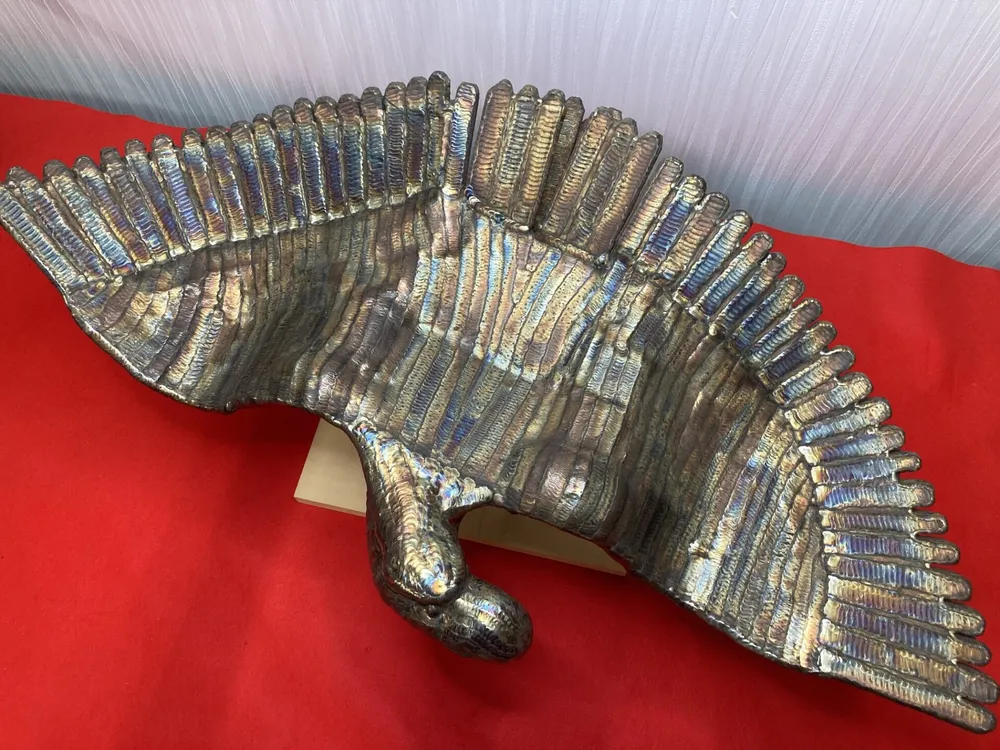 「圧倒的存在感で”獲物を狙う鷲”」 写真2