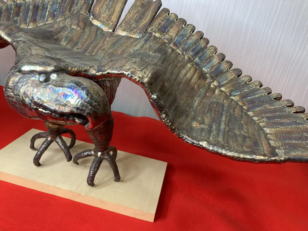 「圧倒的存在感で”獲物を狙う鷲”」 写真3