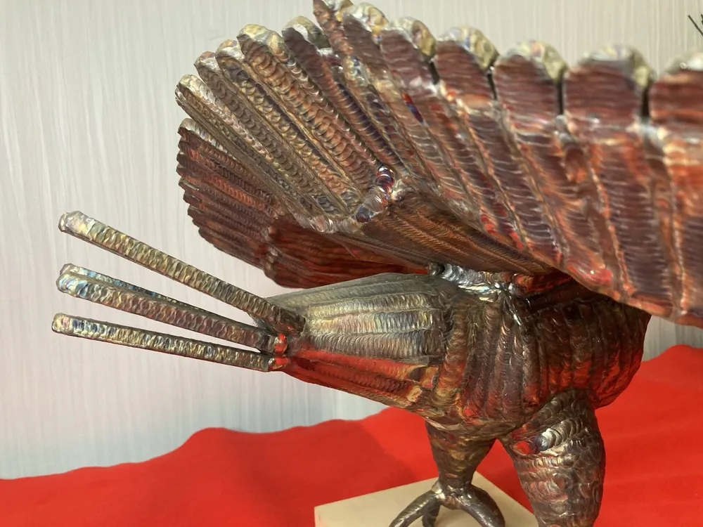 「圧倒的存在感で”獲物を狙う鷲”」 写真6