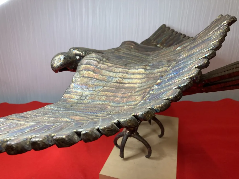 「圧倒的存在感で”獲物を狙う鷲”」 写真9