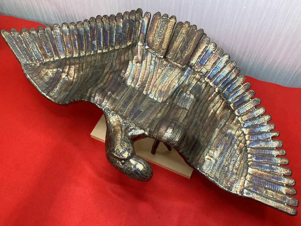 「圧倒的存在感で”獲物を狙う鷲”」 写真10